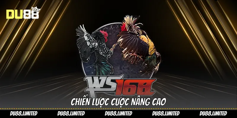 Đá Gà Đòn Trực Tiếp Tại Du88 Trải Nghiệm Đỉnh Cao Cá Cược Chiến lược cược nâng cao