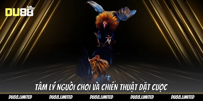 Đá Gà Đòn Trực Tiếp Tại Du88 Trải Nghiệm Đỉnh Cao Cá Cược Tâm lý người chơi và chiến thuật đặt cược
